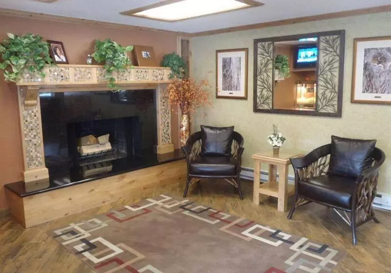 酒店 Stardust Lodge