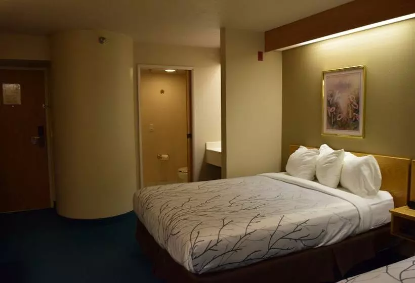 Отель Willow Creek Inn