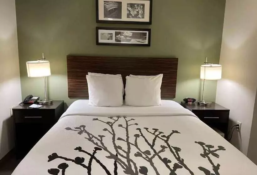 ホテル Wingate By Wyndham Bel Air I 95 Exit 77a   Apg Area