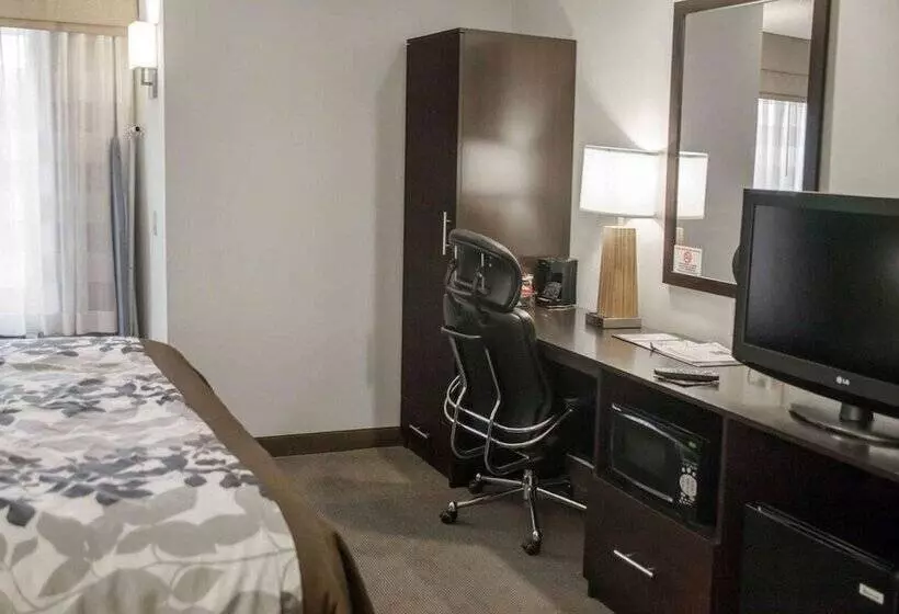 ホテル Wingate By Wyndham Bel Air I 95 Exit 77a   Apg Area