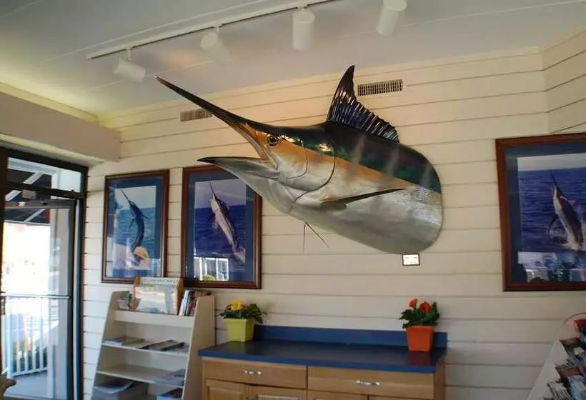 مُتل The Spinnaker