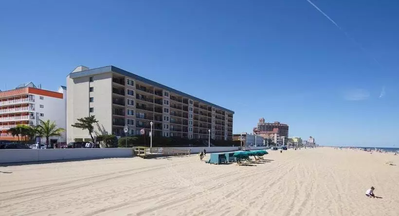 مُتل The Spinnaker