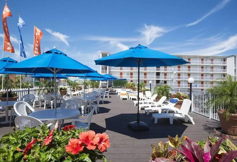 مُتل The Spinnaker