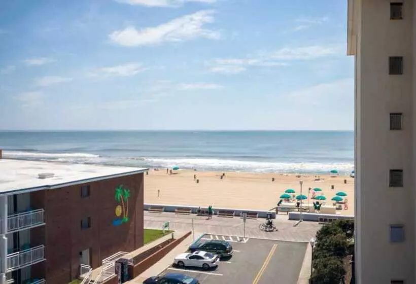 مُتل The Spinnaker