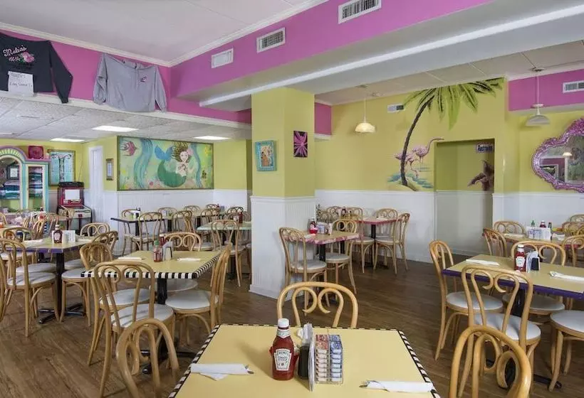 مُتل The Spinnaker