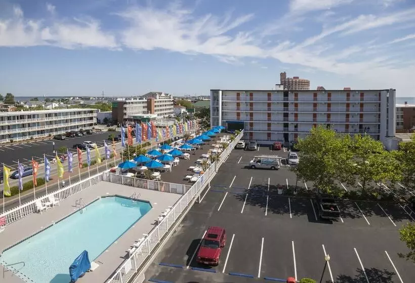 مُتل The Spinnaker