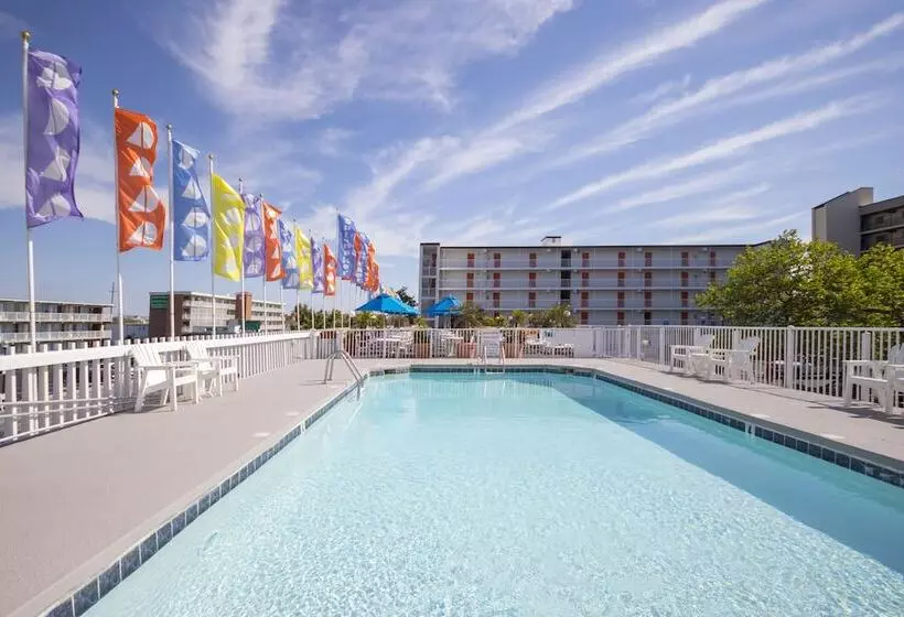 مُتل The Spinnaker