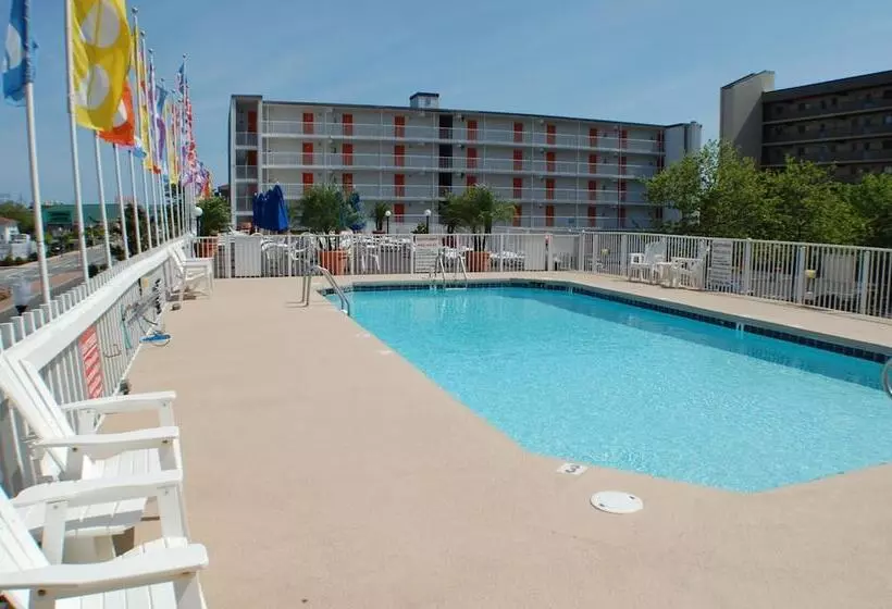 مُتل The Spinnaker