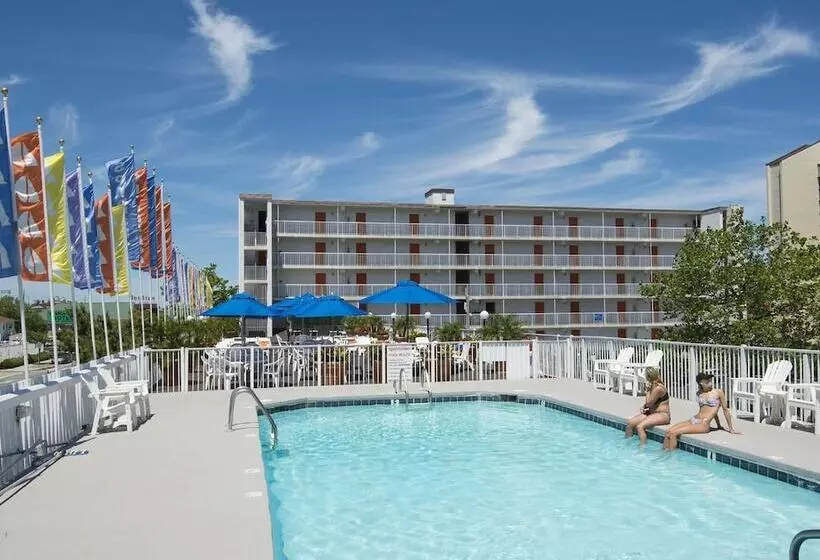 مُتل The Spinnaker