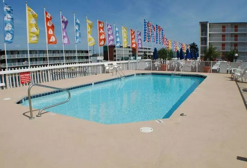 مُتل The Spinnaker