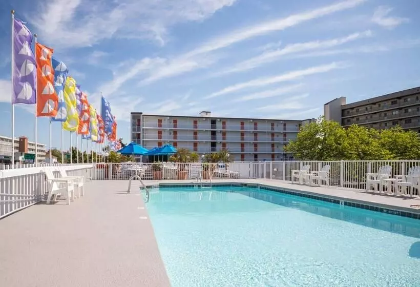 مُتل The Spinnaker