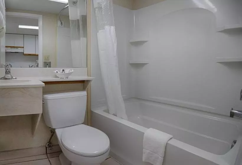 مُتل The Spinnaker