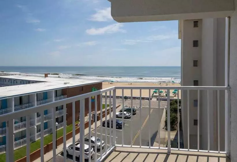 مُتل The Spinnaker