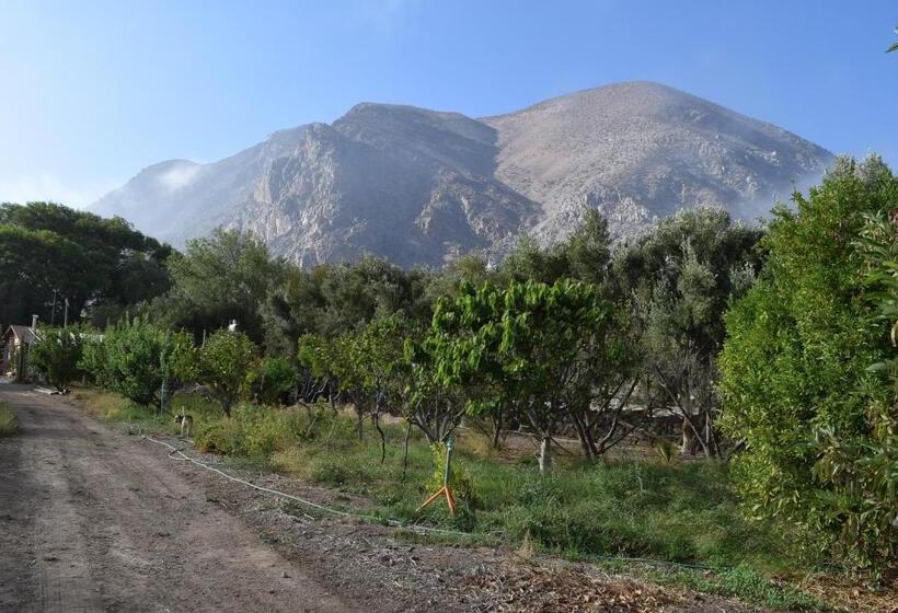 膳宿费 Clayhouse Rivadavia