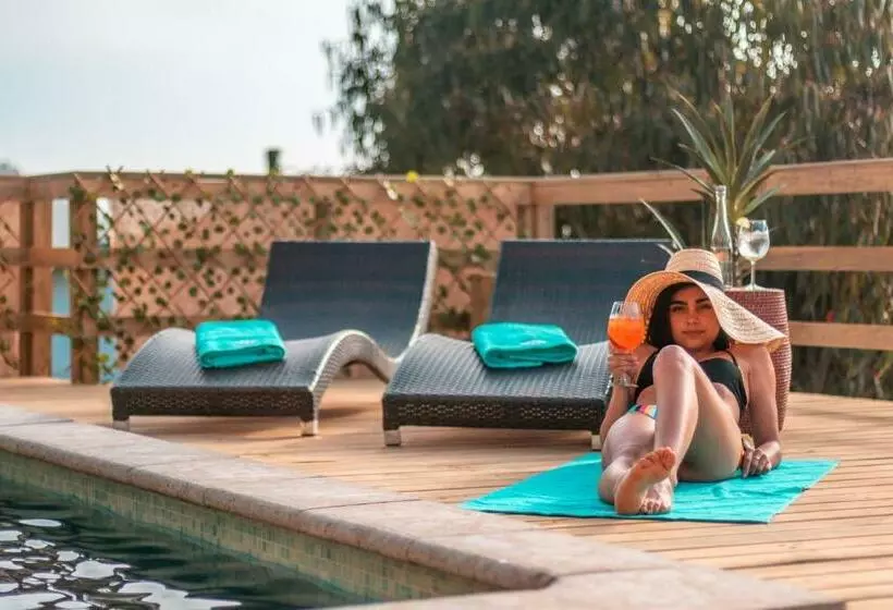 Hotelli Boutique Puramar