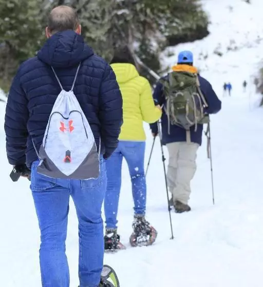 Hotel Treca Rupan Lodge