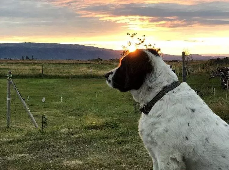 پانسیون ásahraun Guesthouse