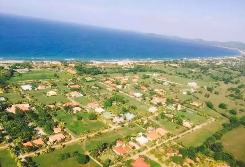 Shores Plantation