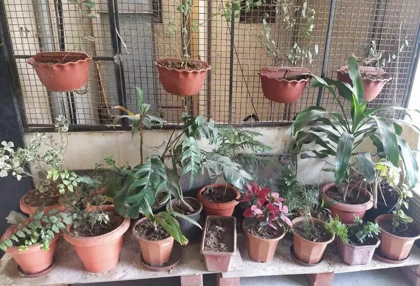 Aamiaismajoitus (B&B) Shiv Sai Dormitory