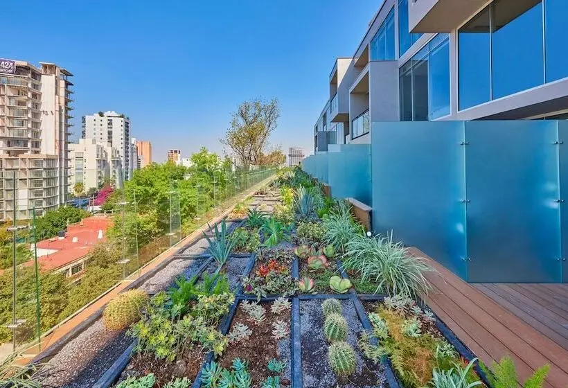 ホテル City Express Plus By Marriott Guadalajara Providencia