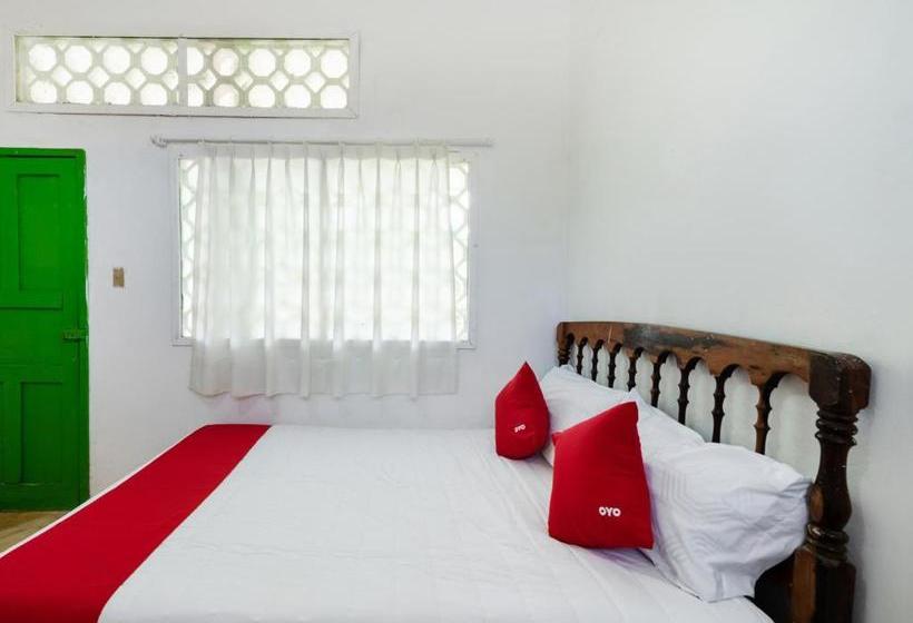 فندق Oyo  Las Palmas Cuyutlan