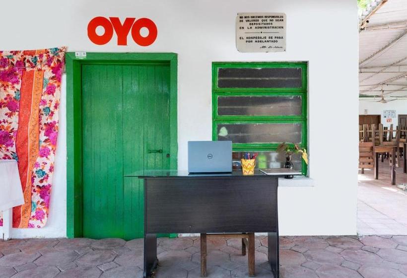 فندق Oyo  Las Palmas Cuyutlan