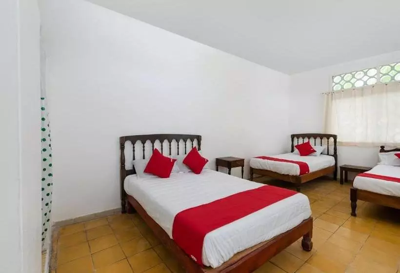 Hotelli Oyo  Las Palmas Cuyutlan