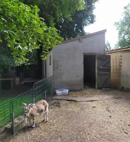تختخواب و صبحانه L'echappée Belle