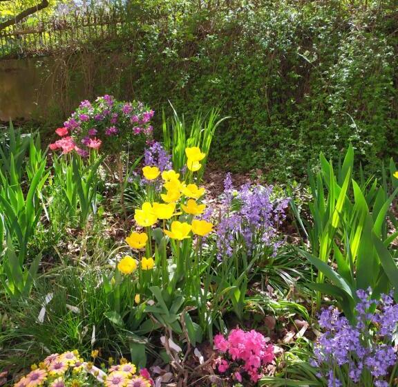 Bed and Breakfast L'echappée Belle