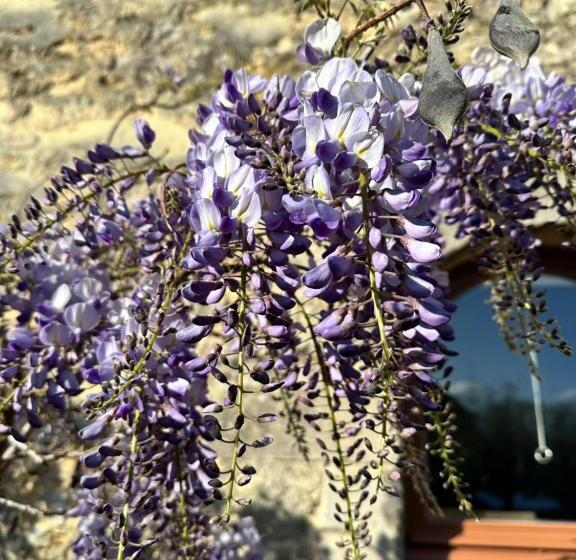 בית מלון כפרי Hôtel Restaurant Le Clos De L 'ancien Pressoir