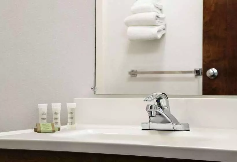 מוטל Super 8 By Wyndham Bowling Green