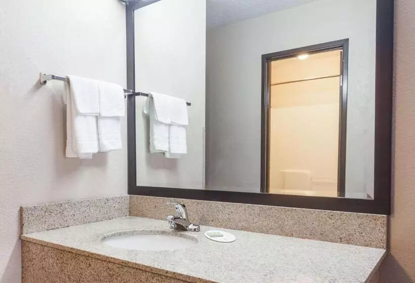 모텔 Super 8 By Wyndham Carrollton