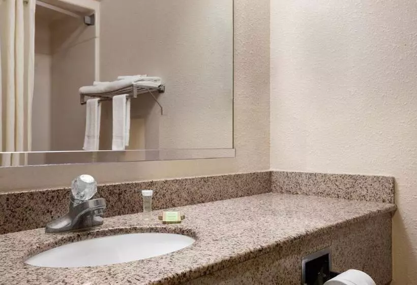 汽车旅馆  Super 8 By Wyndham Evansville North