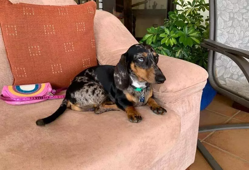 Bed and Breakfast Sunrise By A 1