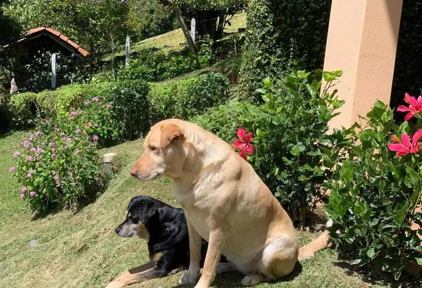 Bed and Breakfast Sunrise By A 1