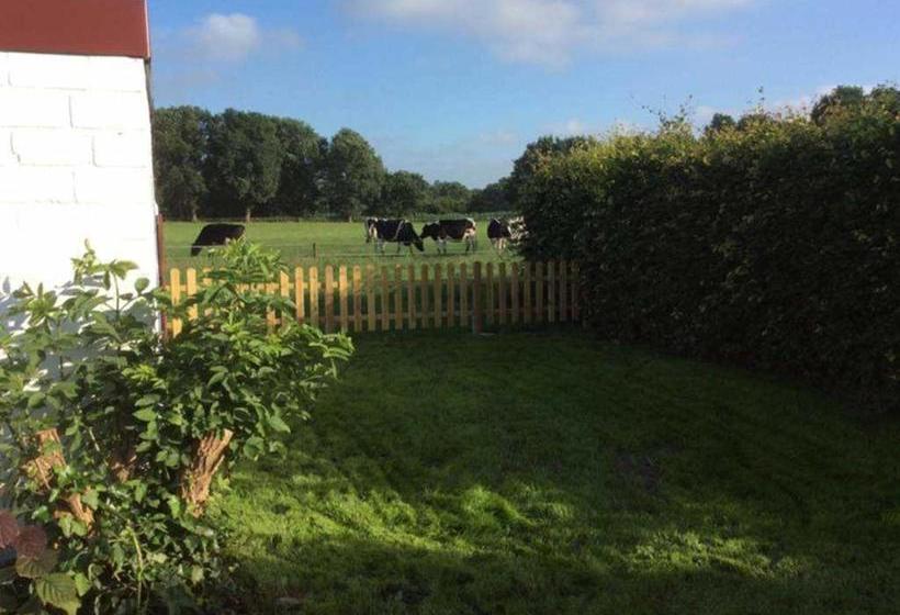 ホテル Ferienhuus Schwalbennüst, 15183