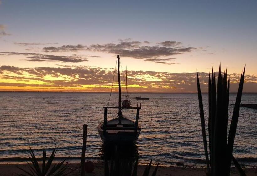 Pension (Hôtel basse catégorie) Terraço Das Quitandas Design Accommodation Al
