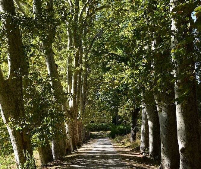 צימר Chateau Mentone