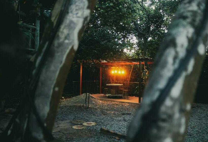 בית מלון כפרי Pousada Pomar De Manguinhos