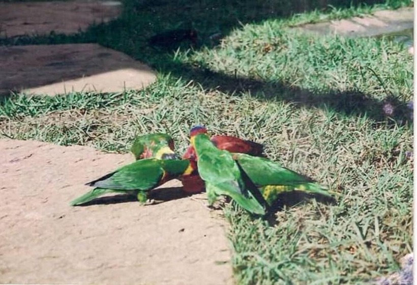 膳宿费 Verdivino Eco Pousada