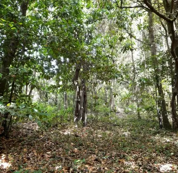 Finca La Jaraca