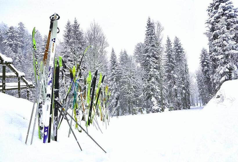 客栈  Auberge Refuge De Roybon