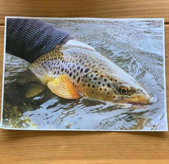 Netherton Farm Lodge