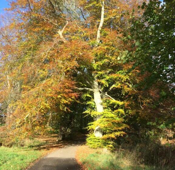 Netherton Farm Lodge