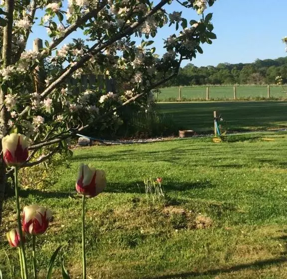 Netherton Farm Lodge