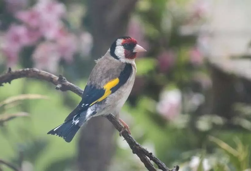 Netherton Farm Lodge
