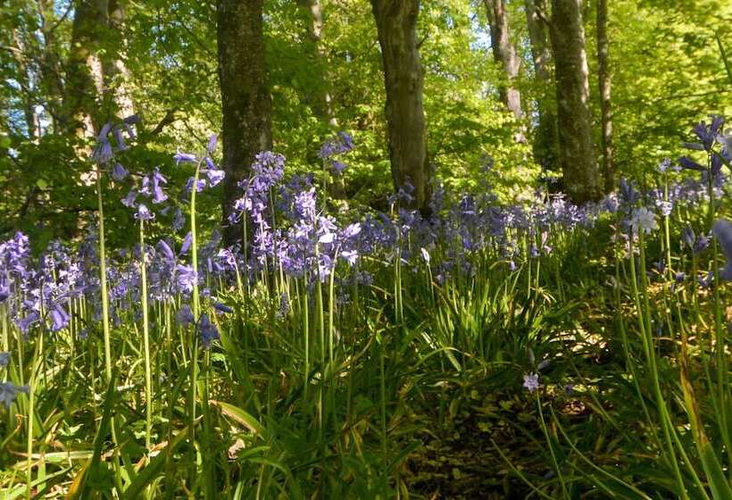 Netherton Farm Lodge