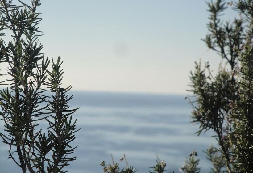 Ocean Front Studios 77