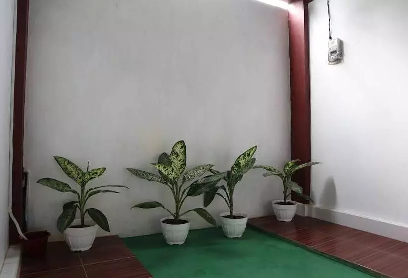 Spot On 1772 Hotel Penginapan Cemara Syariah