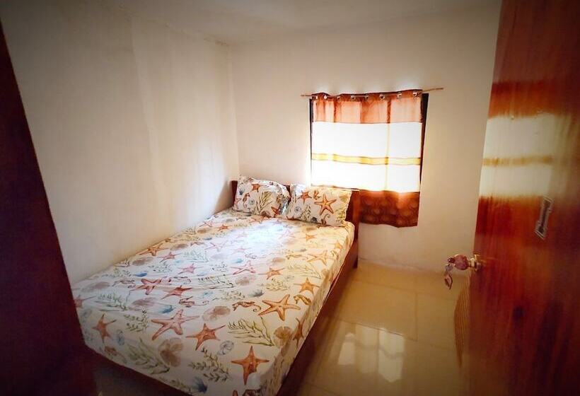 La Mallorca Backpackers Inn   Hostel   Adults Only